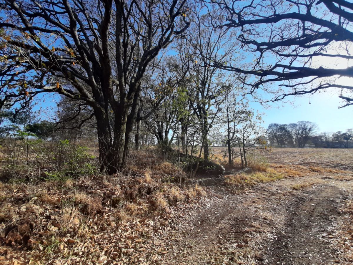 21 de 23: caminos internos