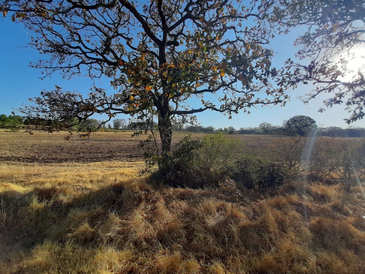 20 de 23: camino a las zonas de cultivo