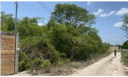 Terreno en venta Komchen Mérida Yucatán - foto 2