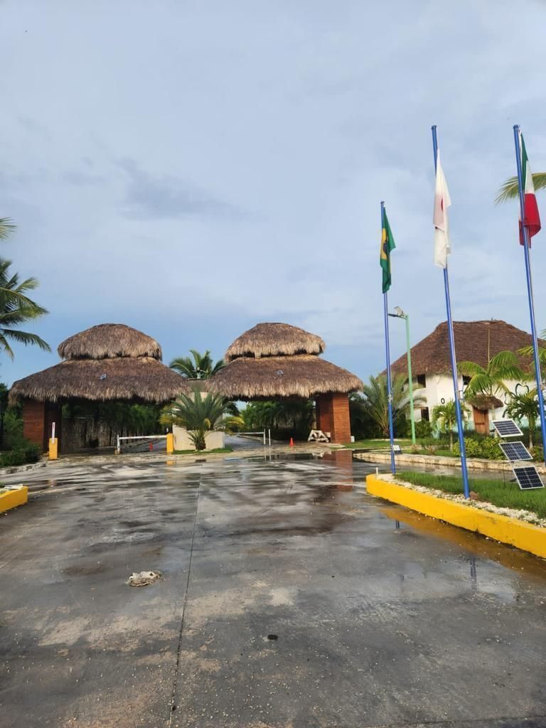 1 de 3