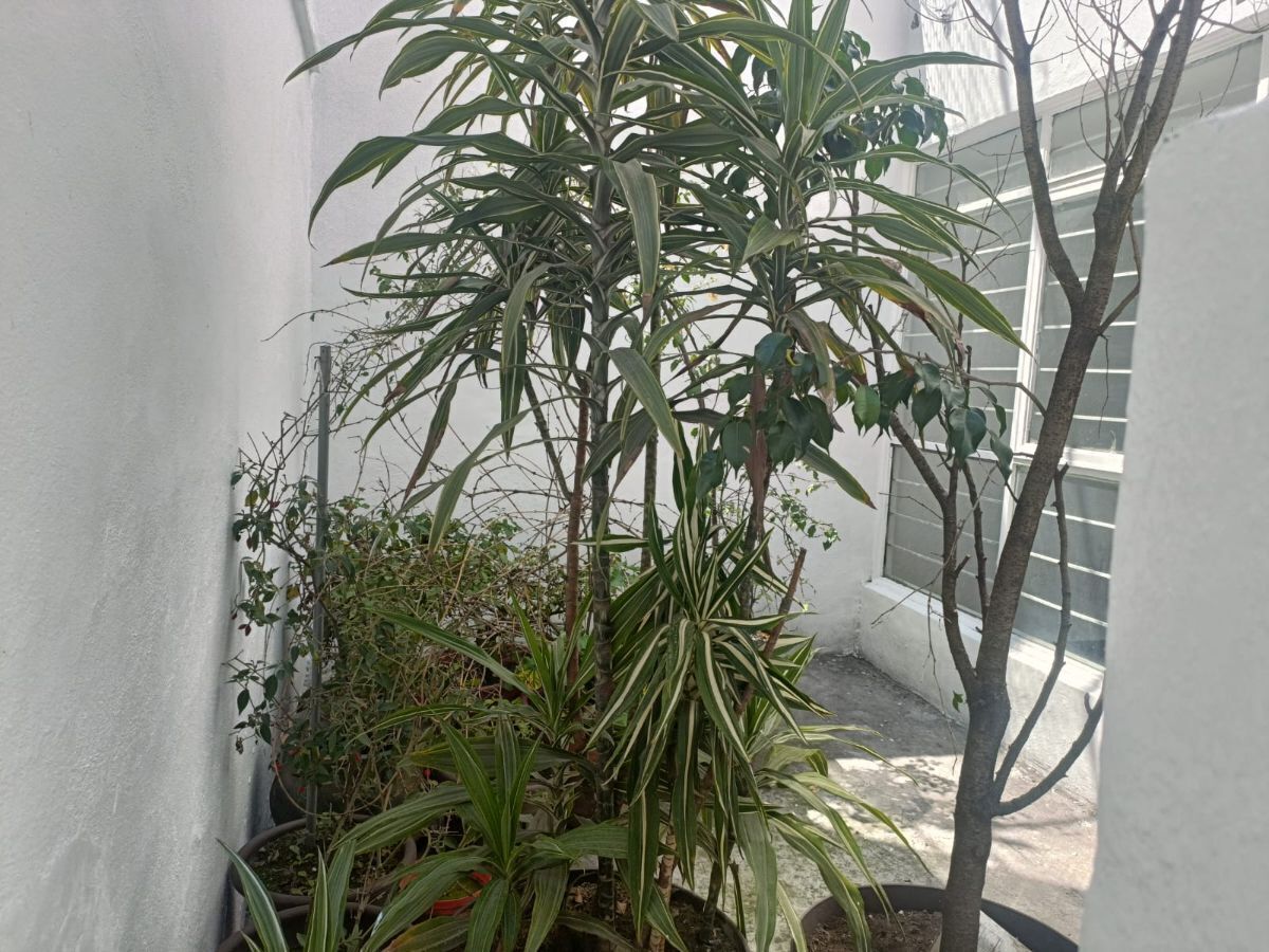 3 de 8