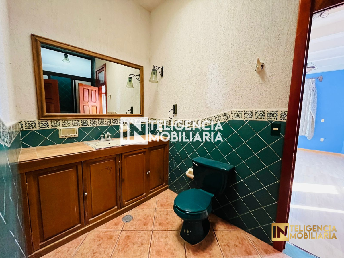 10 de 24
