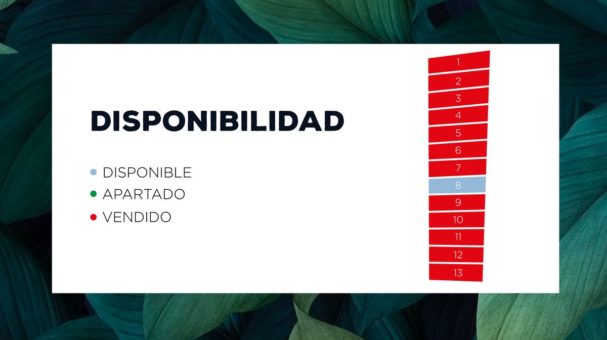 4 de 13