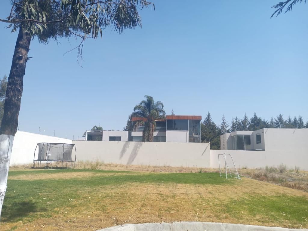 2 de 6
