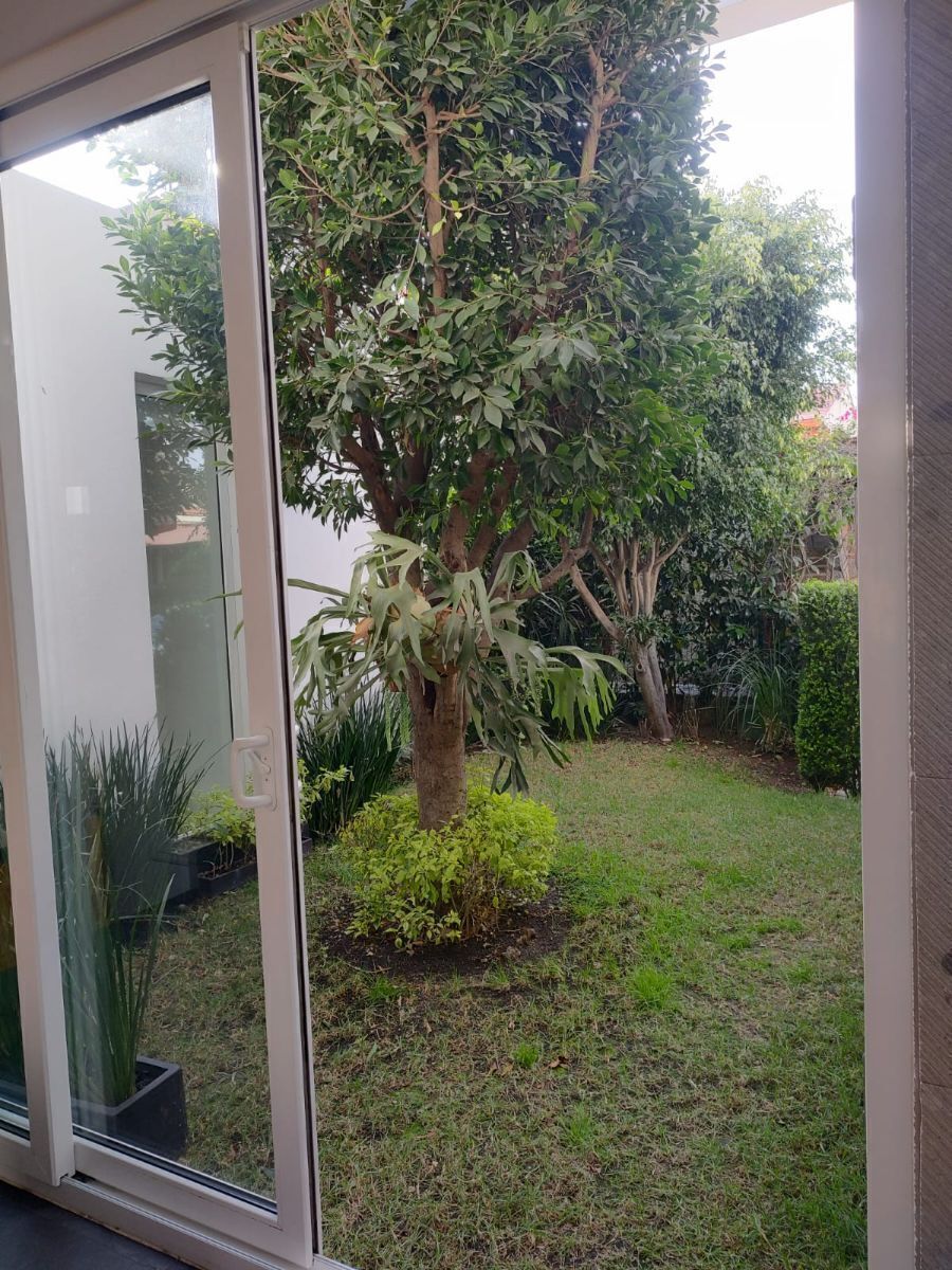 27 de 31
