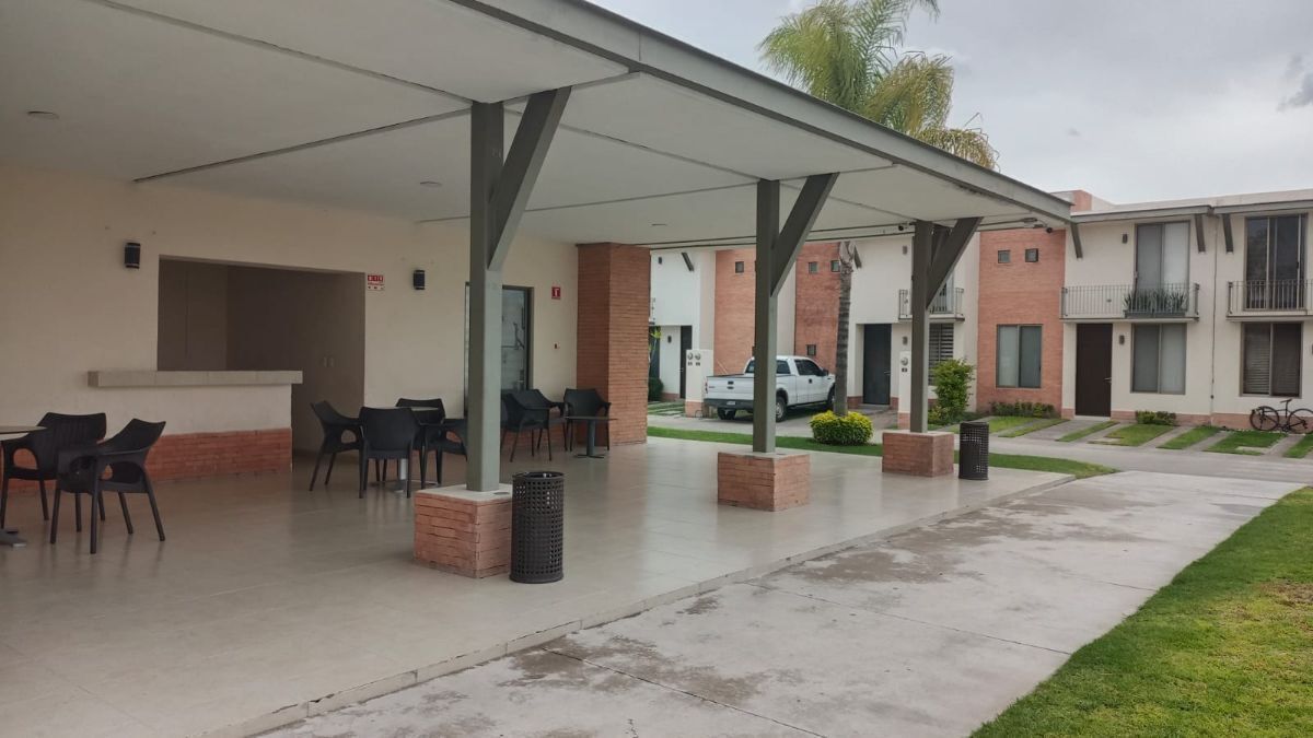 6 de 24