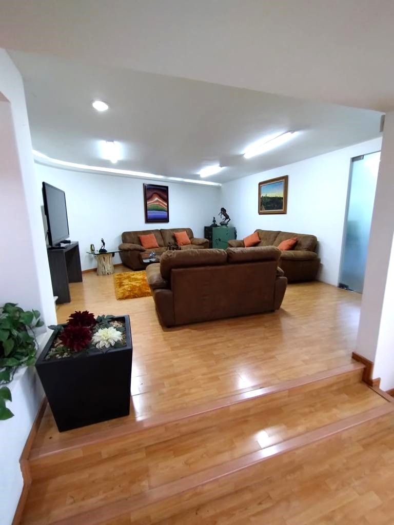 3 de 21: Estancia con luz natural