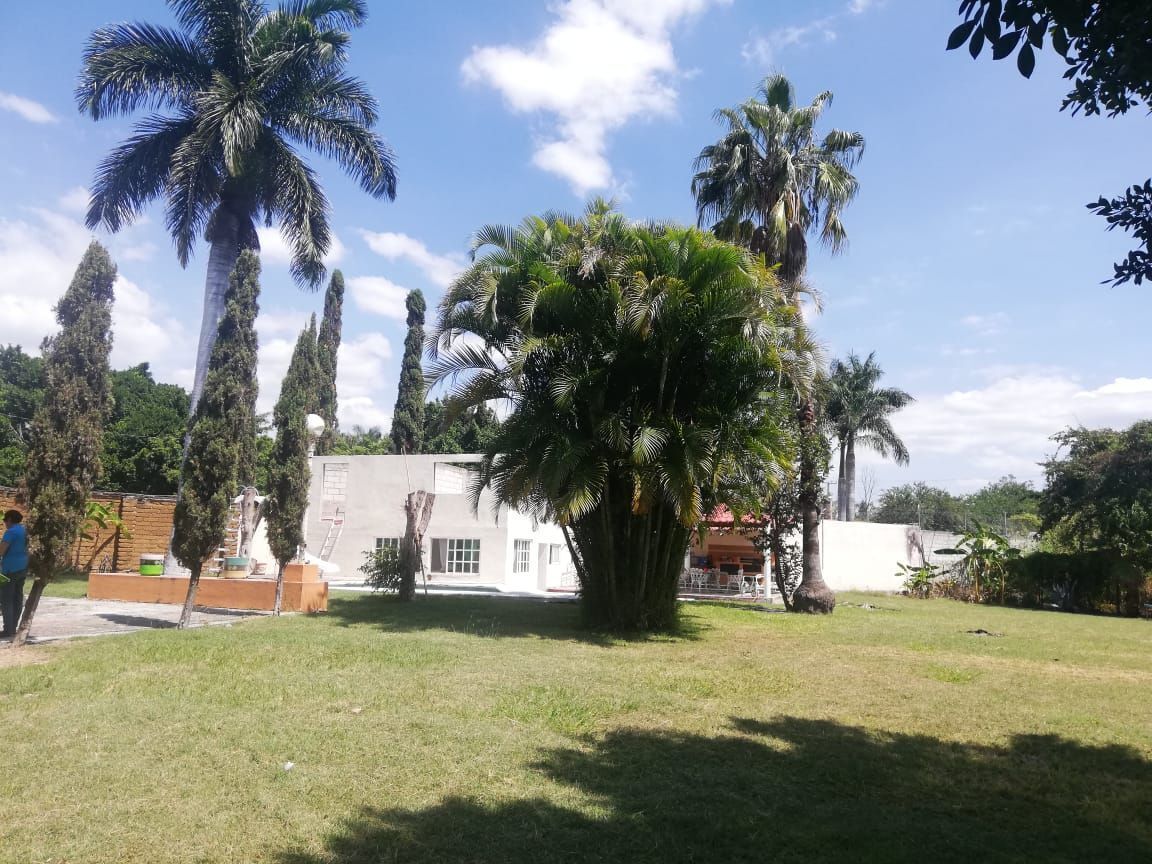 12 de 13