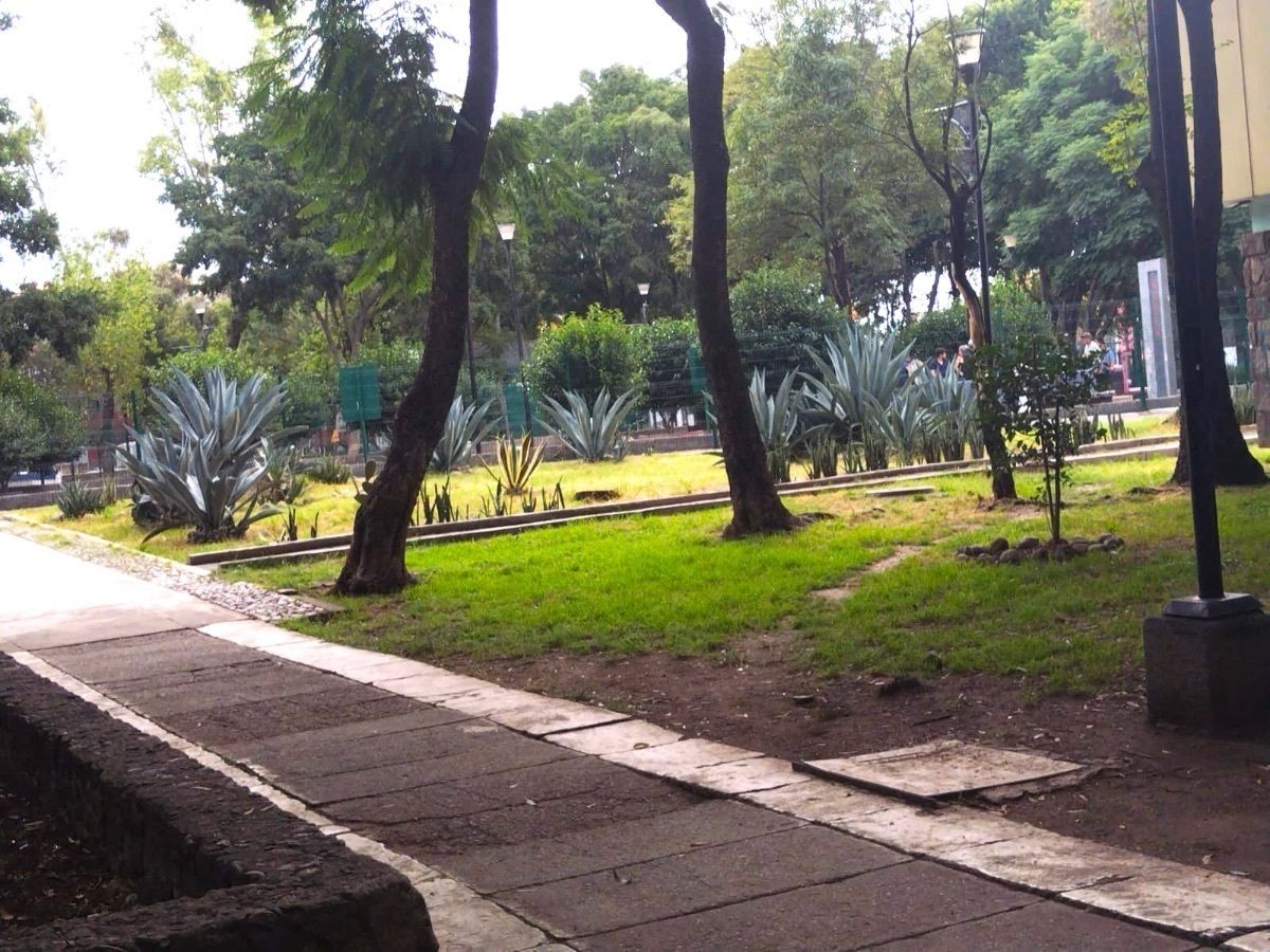 14 of 14: Áreas Verdes