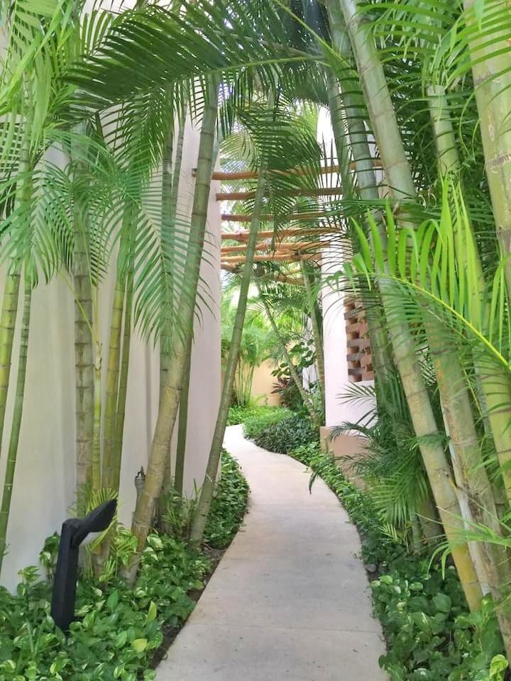 Departamento en Bucerías, Bahía de Banderas, foto 19 de 21