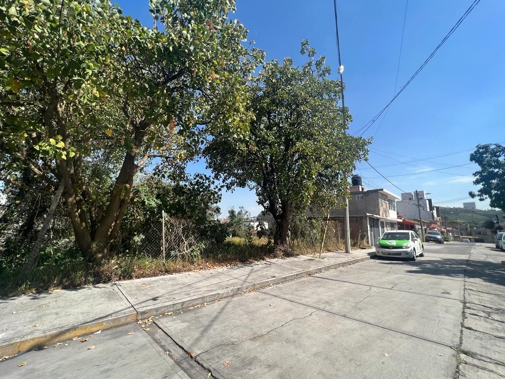 4 de 11