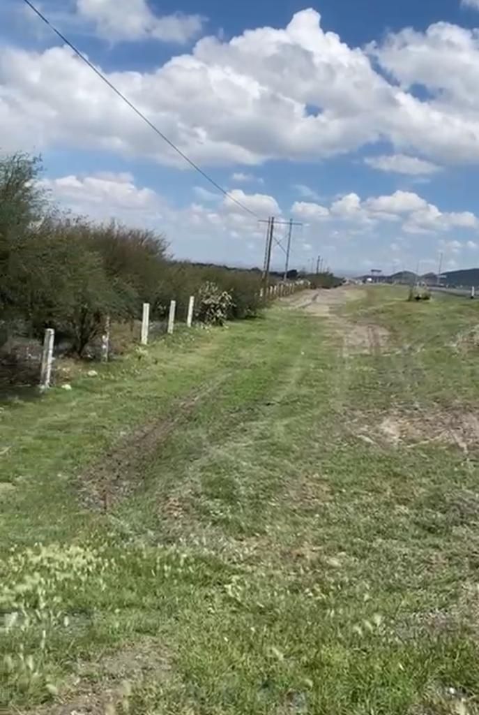 4 de 10