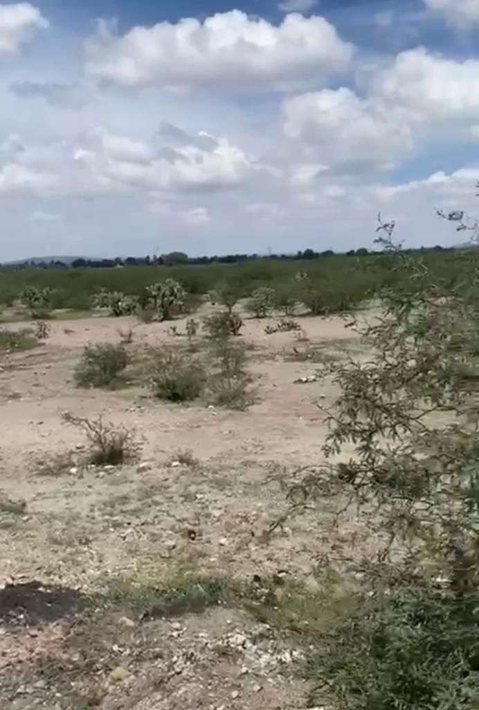 5 de 10