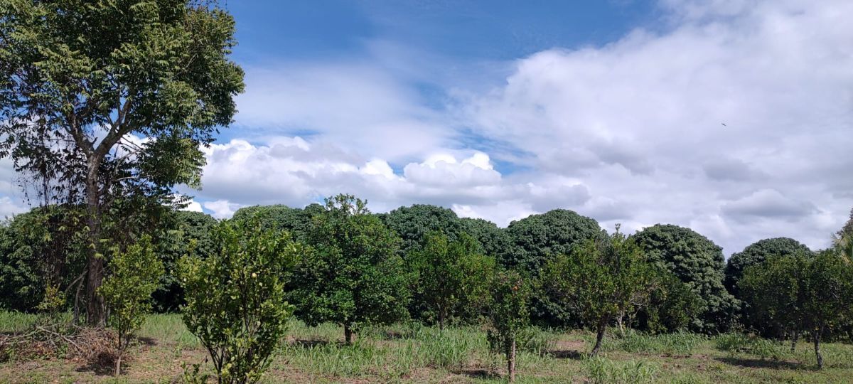 1 de 10