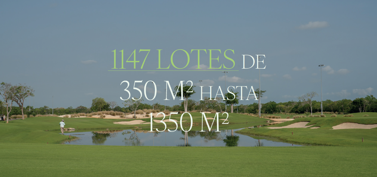 14 de 18: LOTES