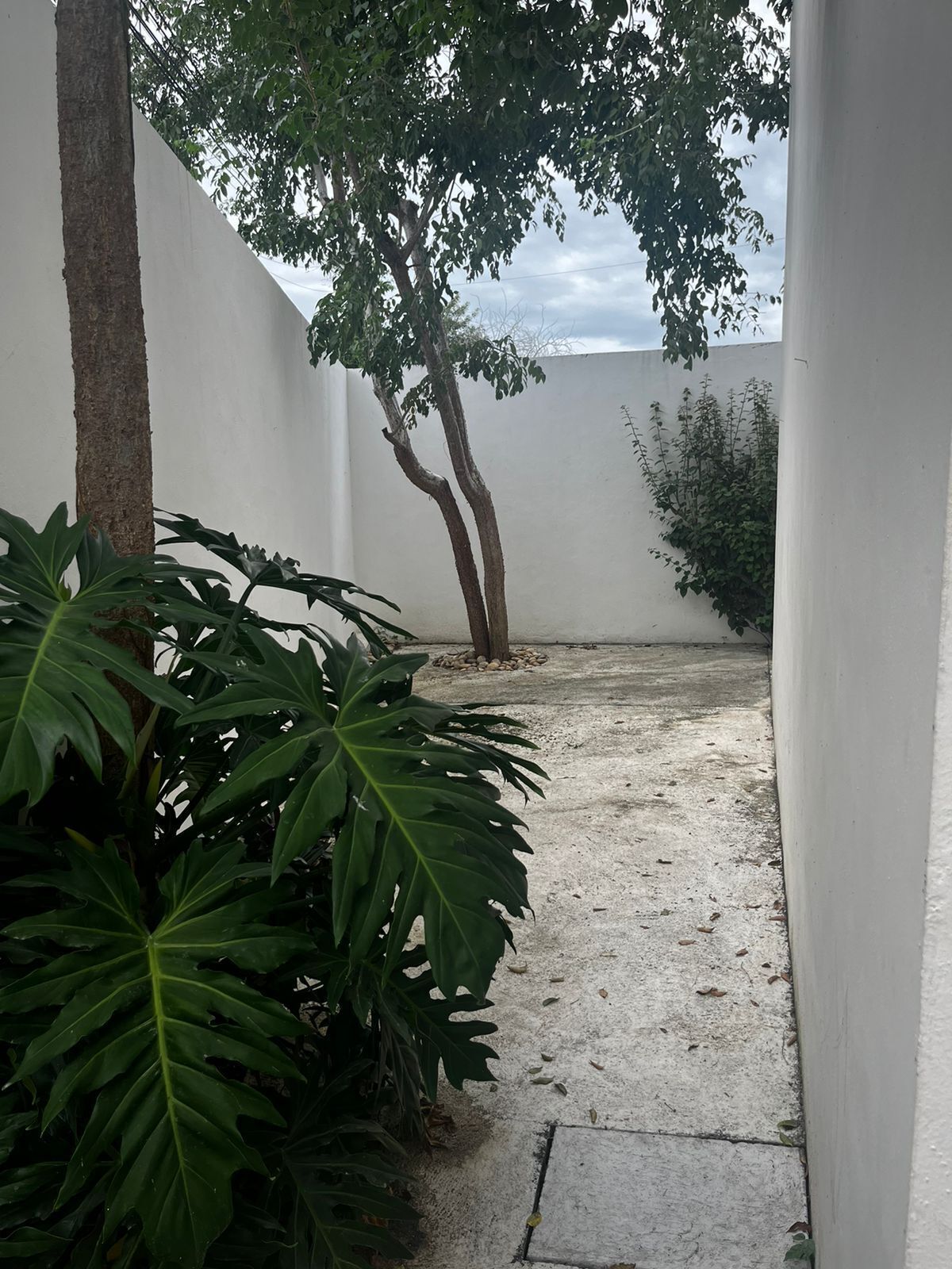 Casa en Montebello, Mérida, foto 8 de 21
