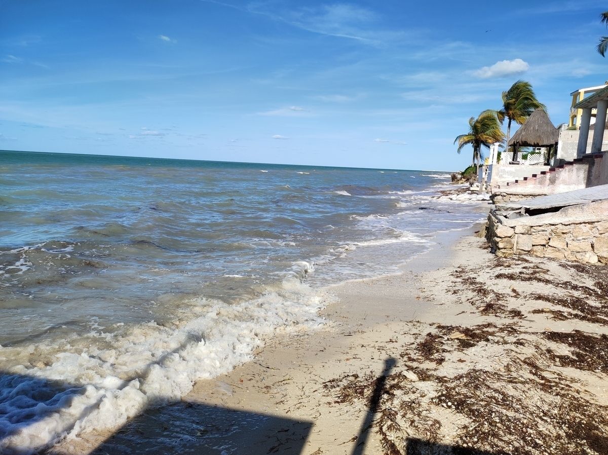 7 de 36