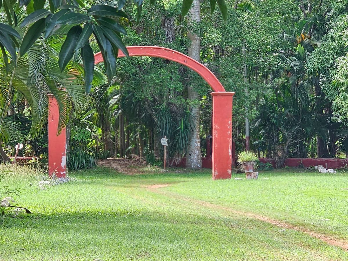 1 de 9