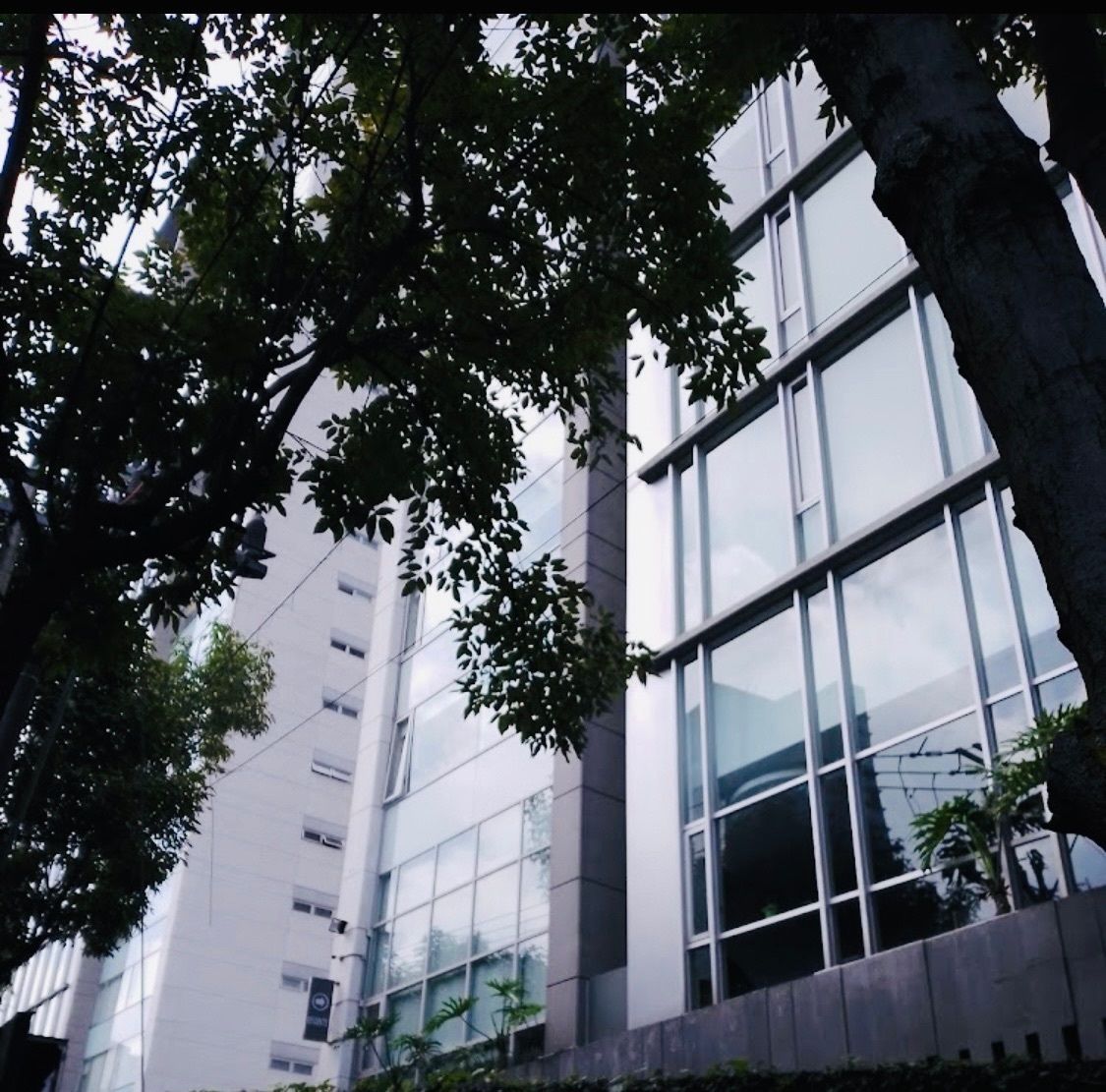 Departamento en Santa Fe Cuajimalpa, Cuajimalpa de Morelos, foto 5 de 20