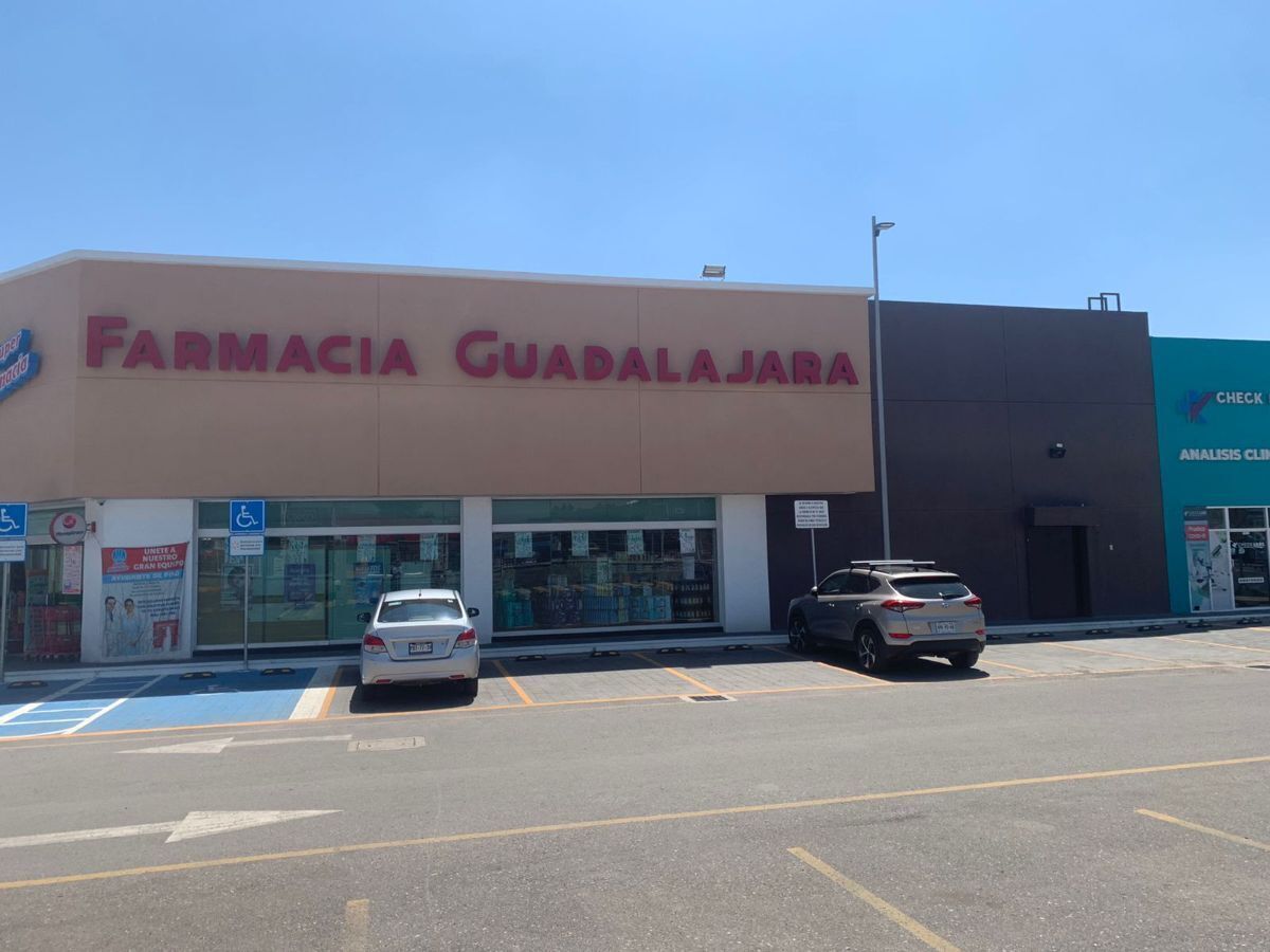 4 de 6