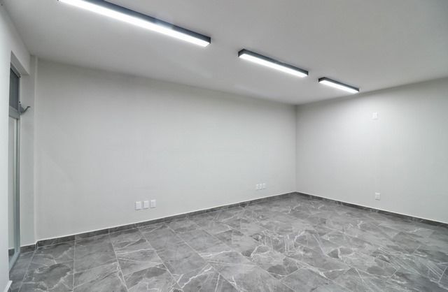 6 de 31
