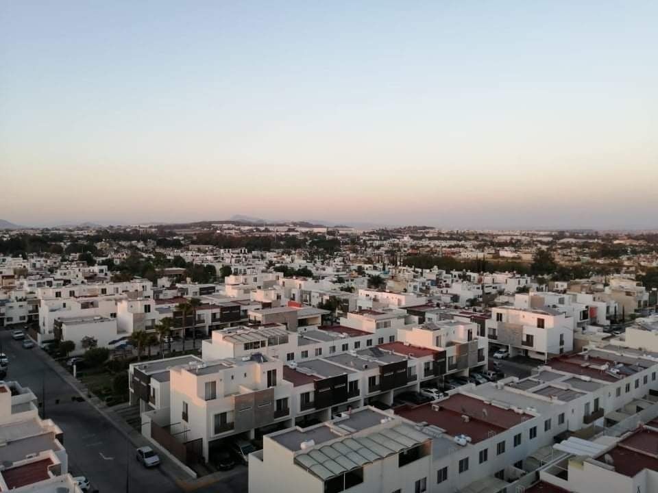 7 de 20