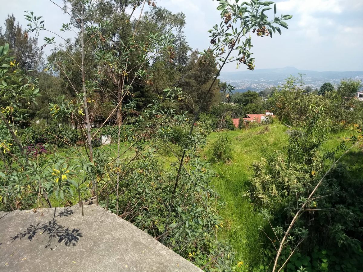 5 of 22: Bonita vista