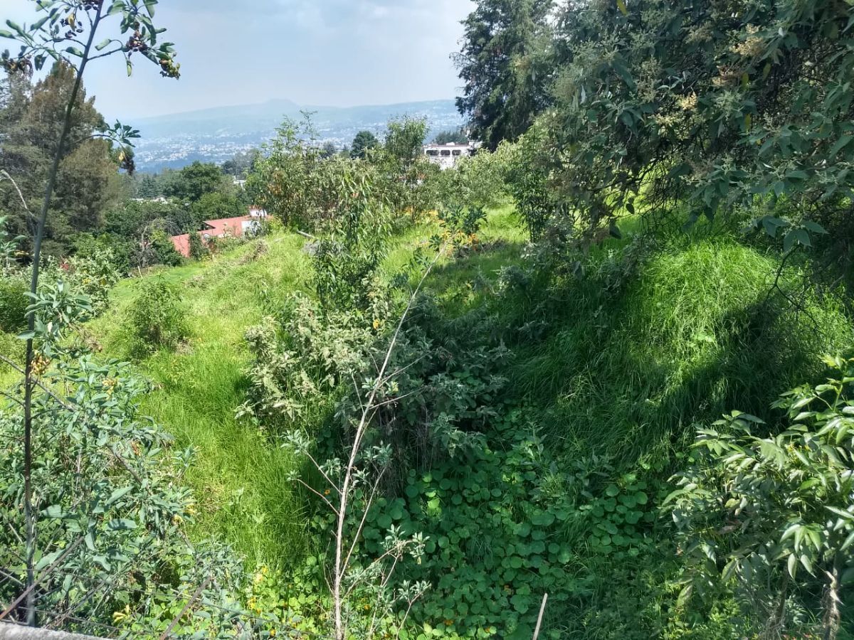 6 de 22: En ladera descendente