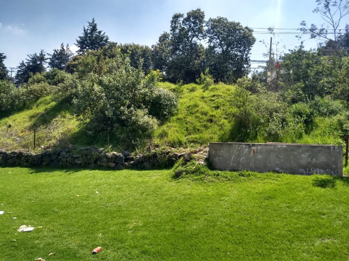 6 de 22: Parte trasera