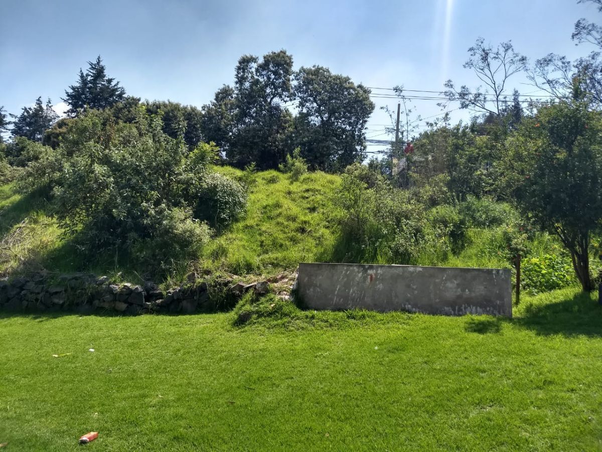 7 de 22: Parte trasera