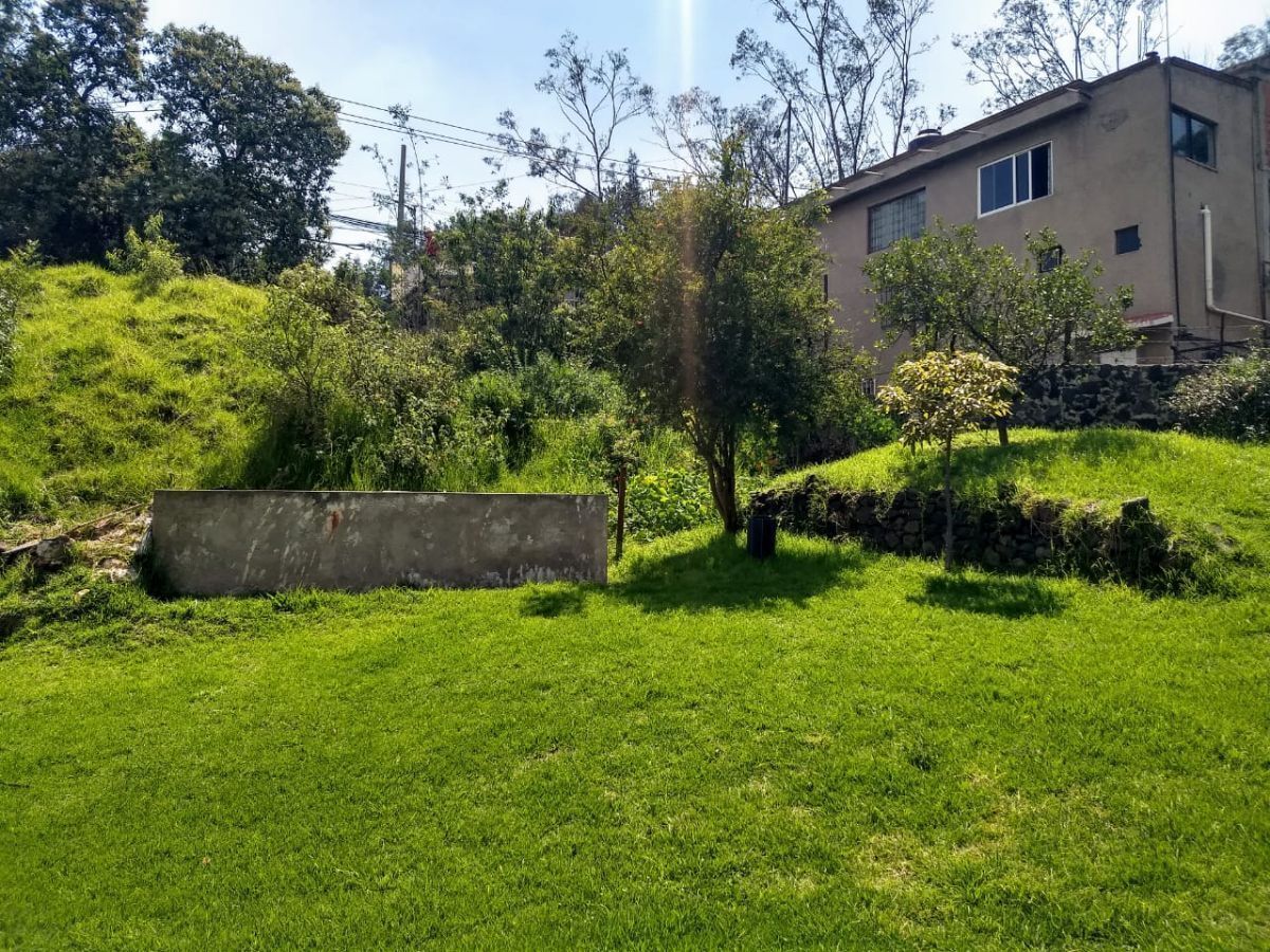 9 of 22: Parte trasera