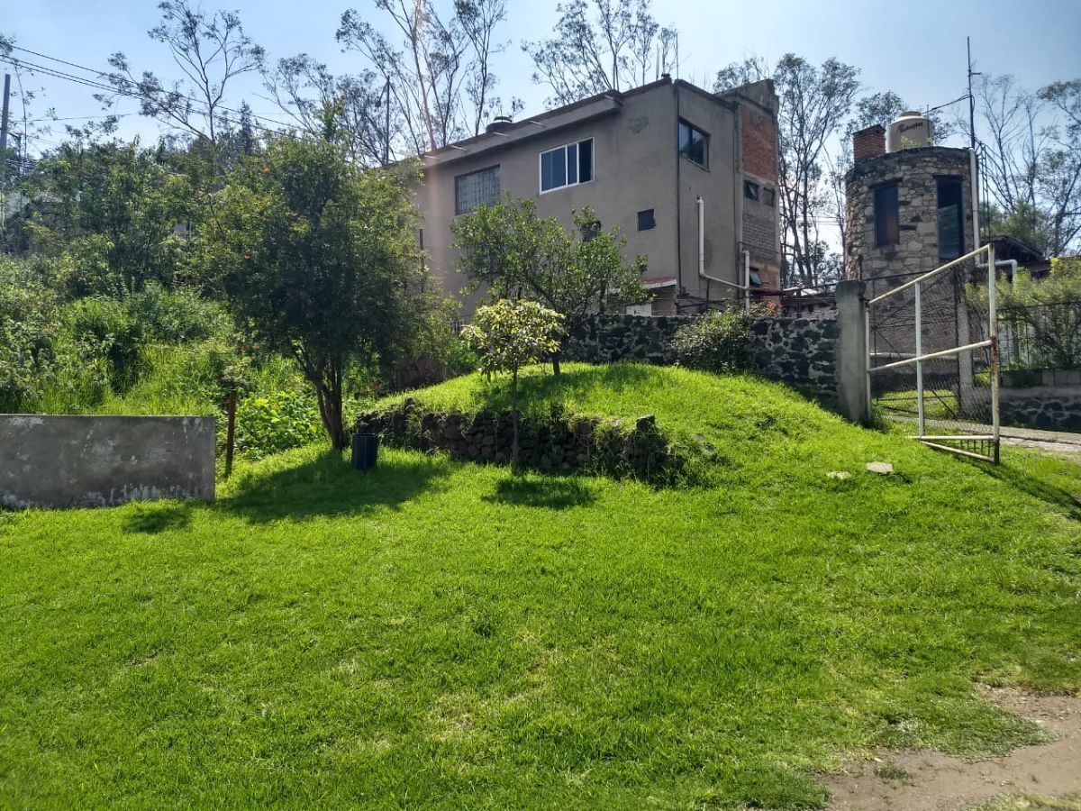 11 de 22: Vista trasera a un costado