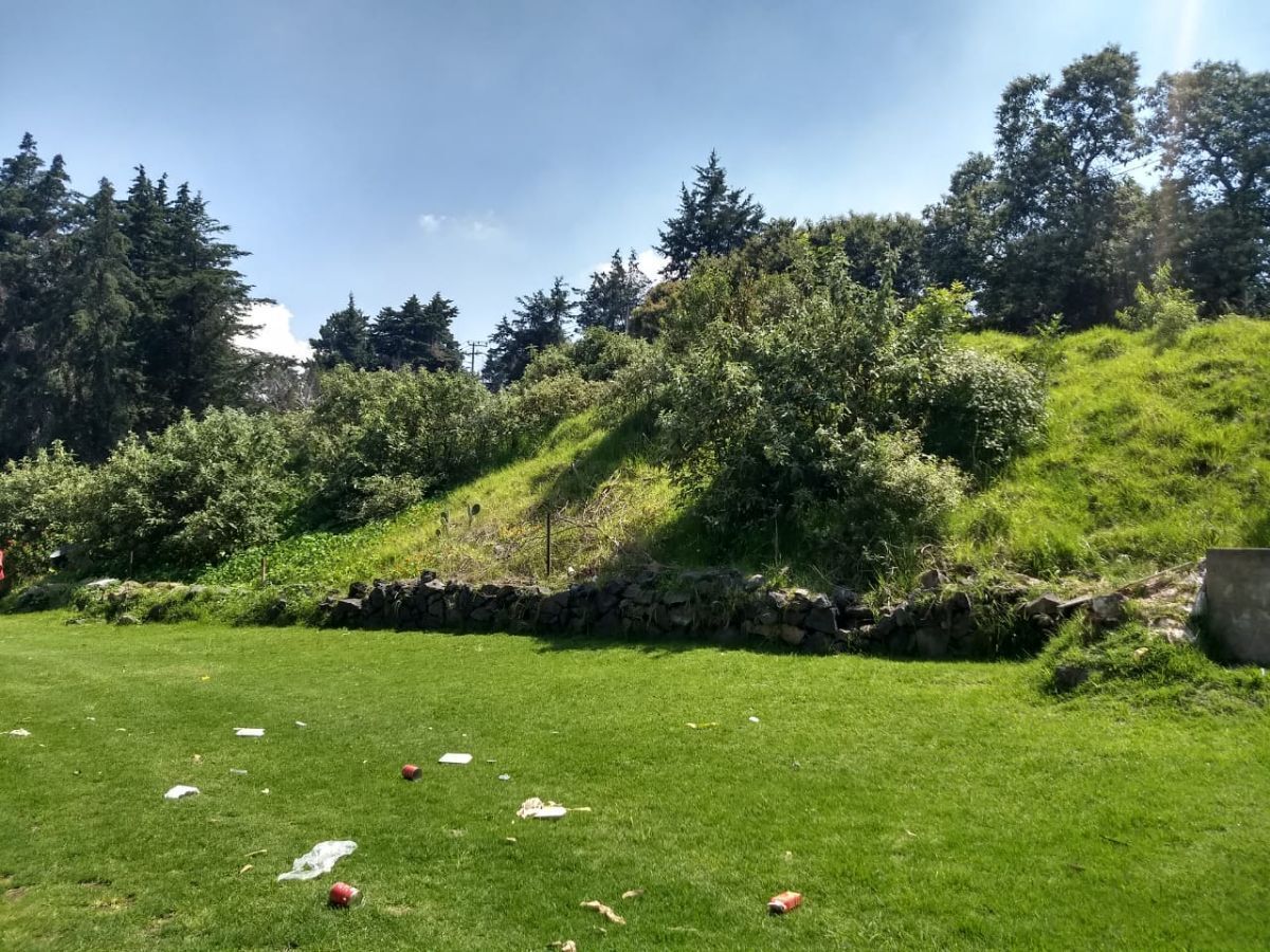 12 de 22: Vista trasera