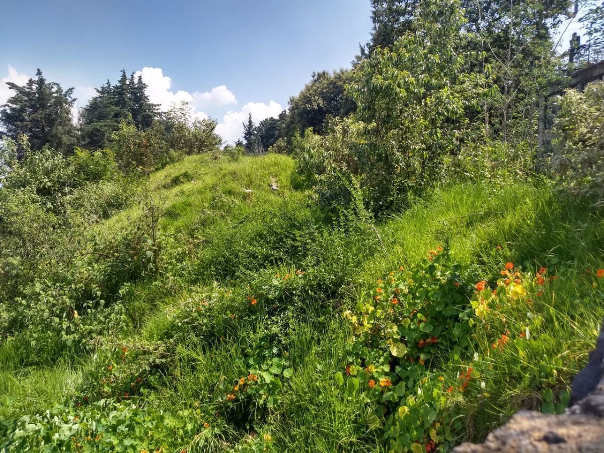 12 de 22: Vista de costado