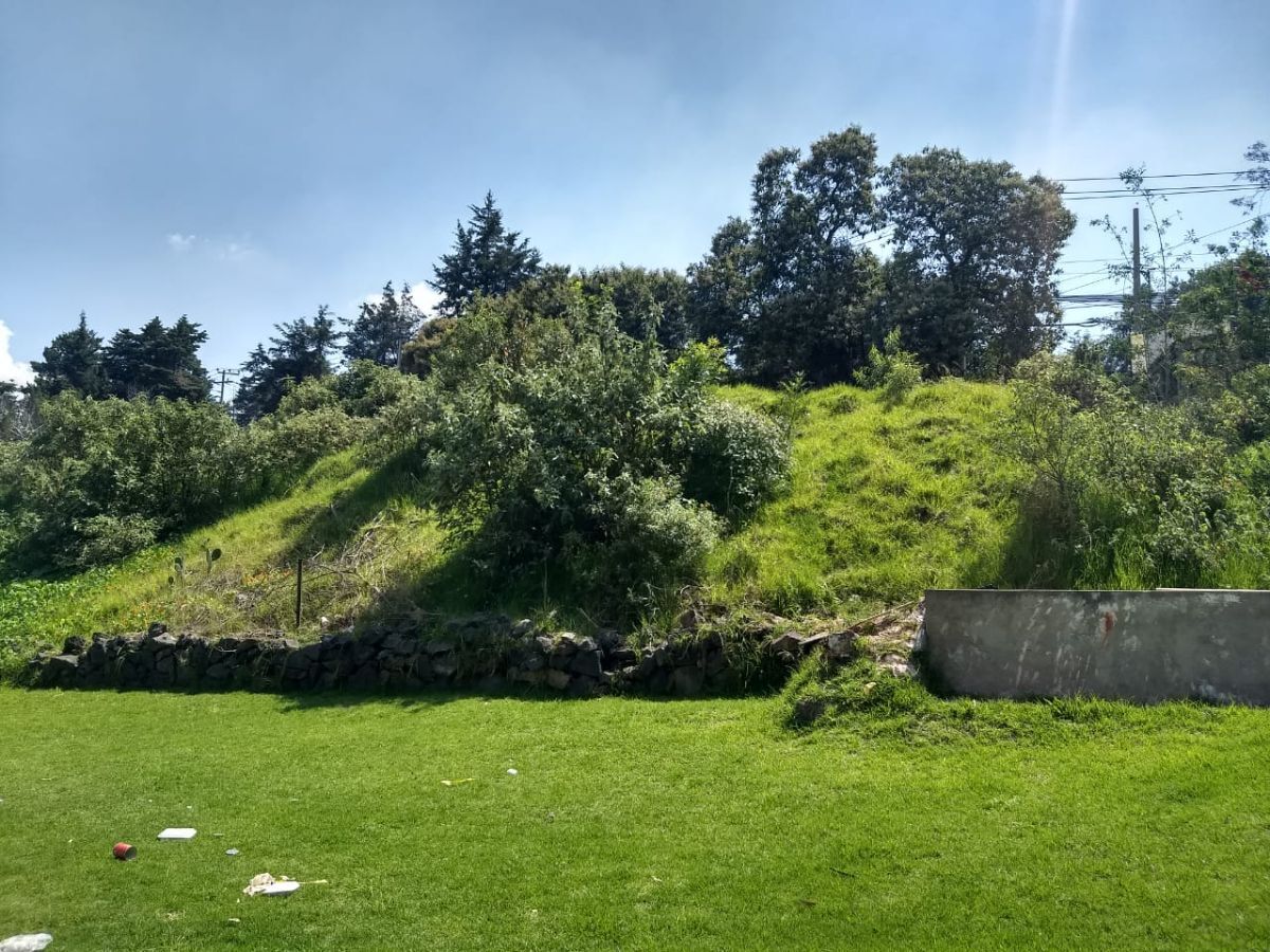 14 de 22: Vista trasera