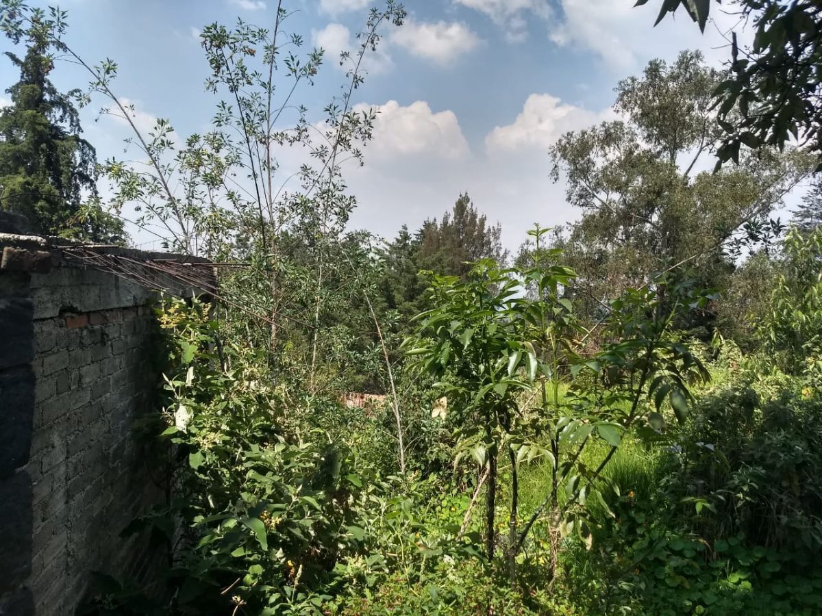 19 de 22: Rodeado de areas verdes