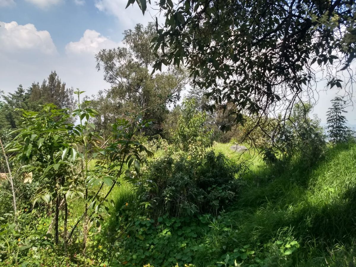 19 of 22: Rodeado de areas verdes