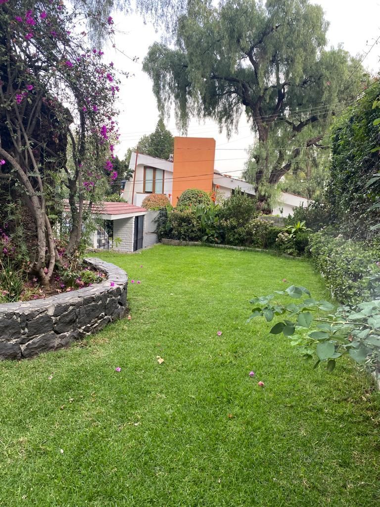 20 de 20: Impecable jardín.