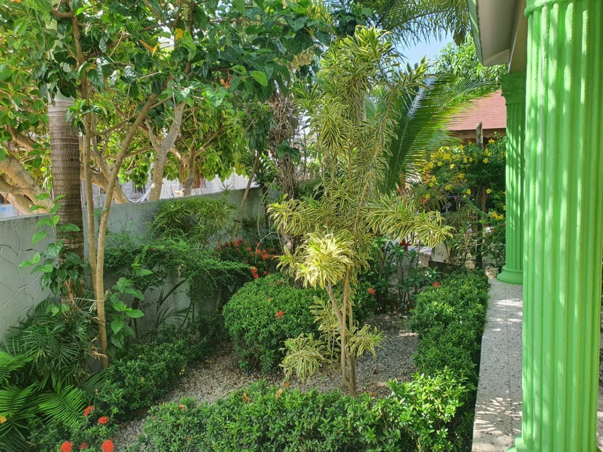 12 de 26