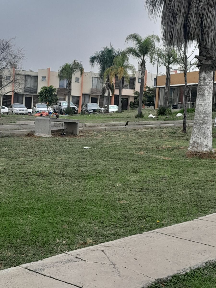 2 de 23