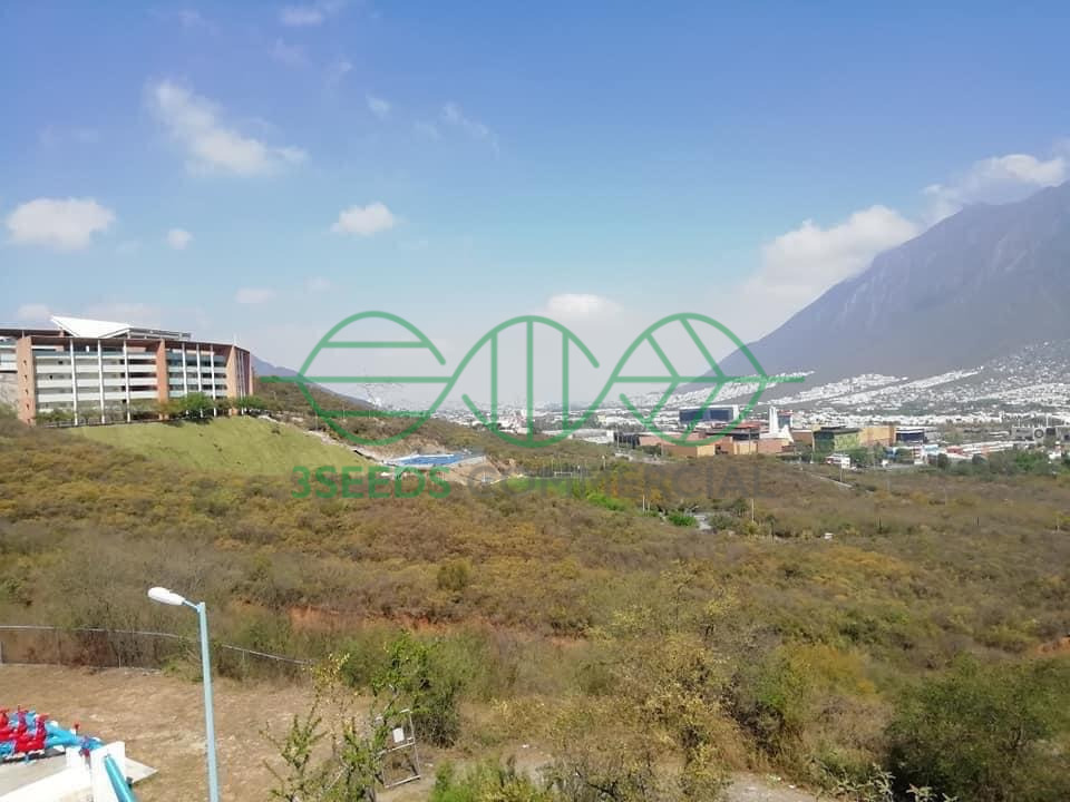 Venta Terreno / Lote Palmares Residencial - Monterrey
