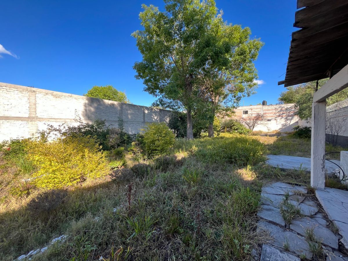 https://assets.easybroker.com/property_images/4097694/67804561/EB-OS7694.jpg?version=1698700209