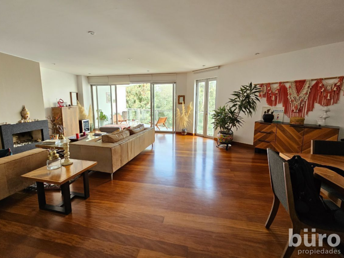 11 de 39: Gran Sala Principal con Salida a Terraza y Chimenea