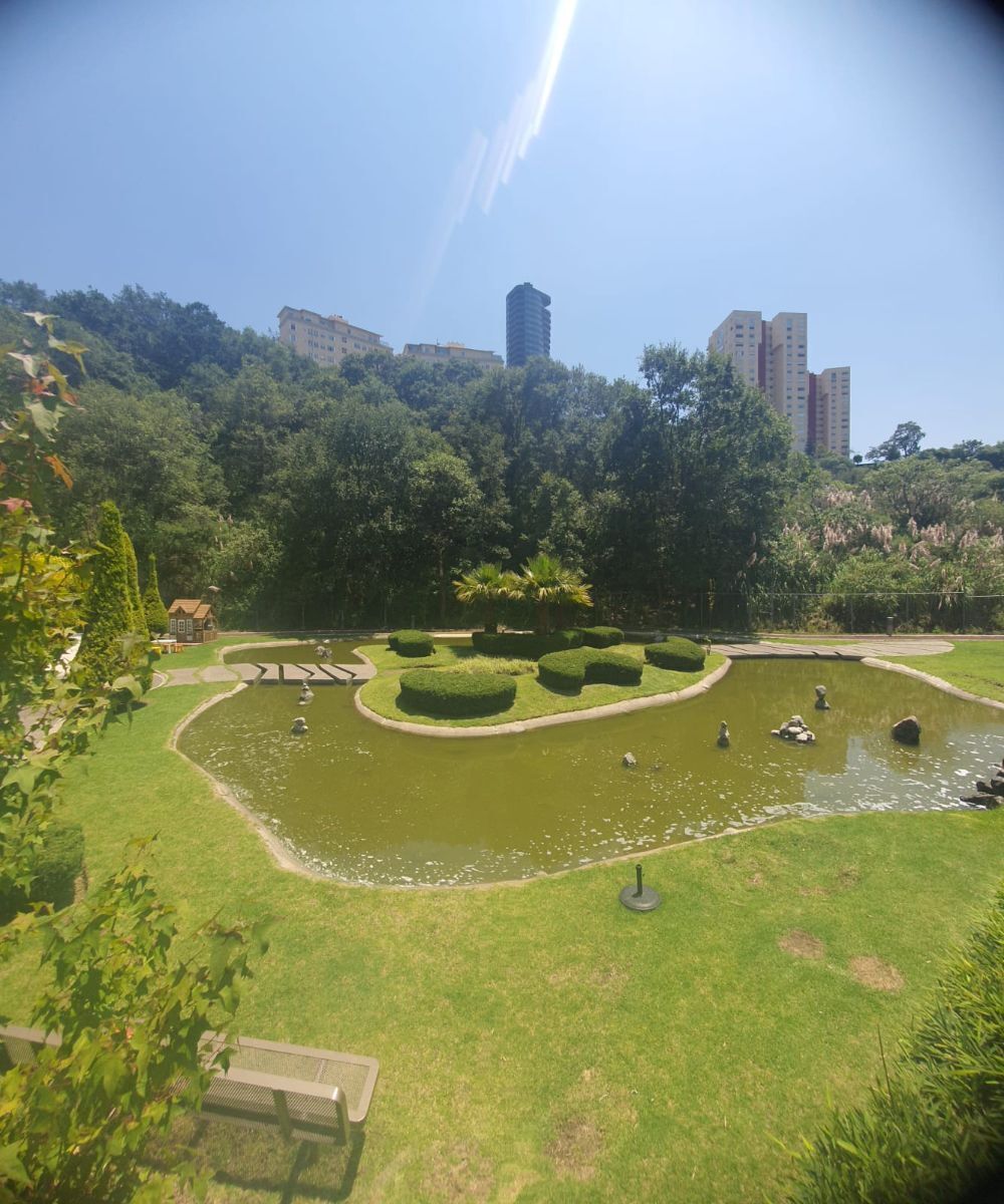 14 de 15