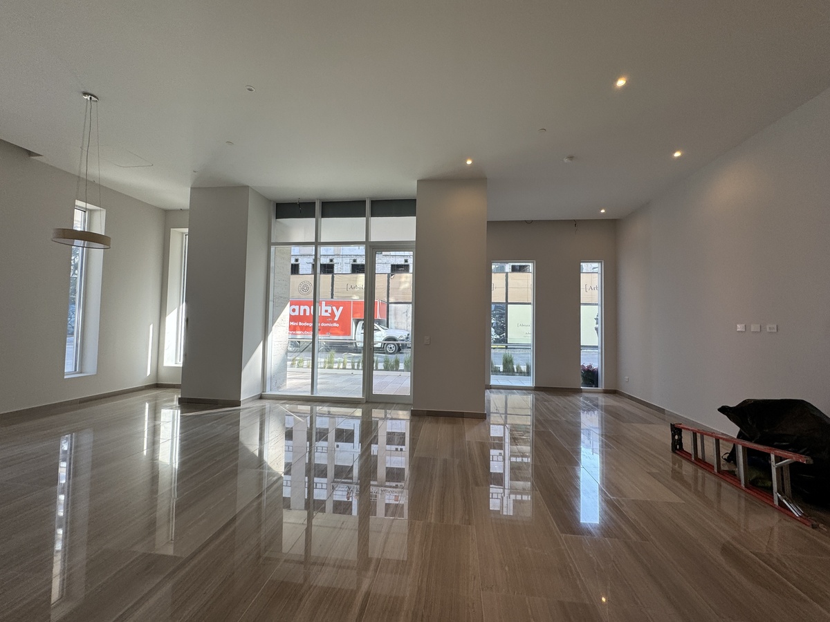 4 de 11: Sala y comedor