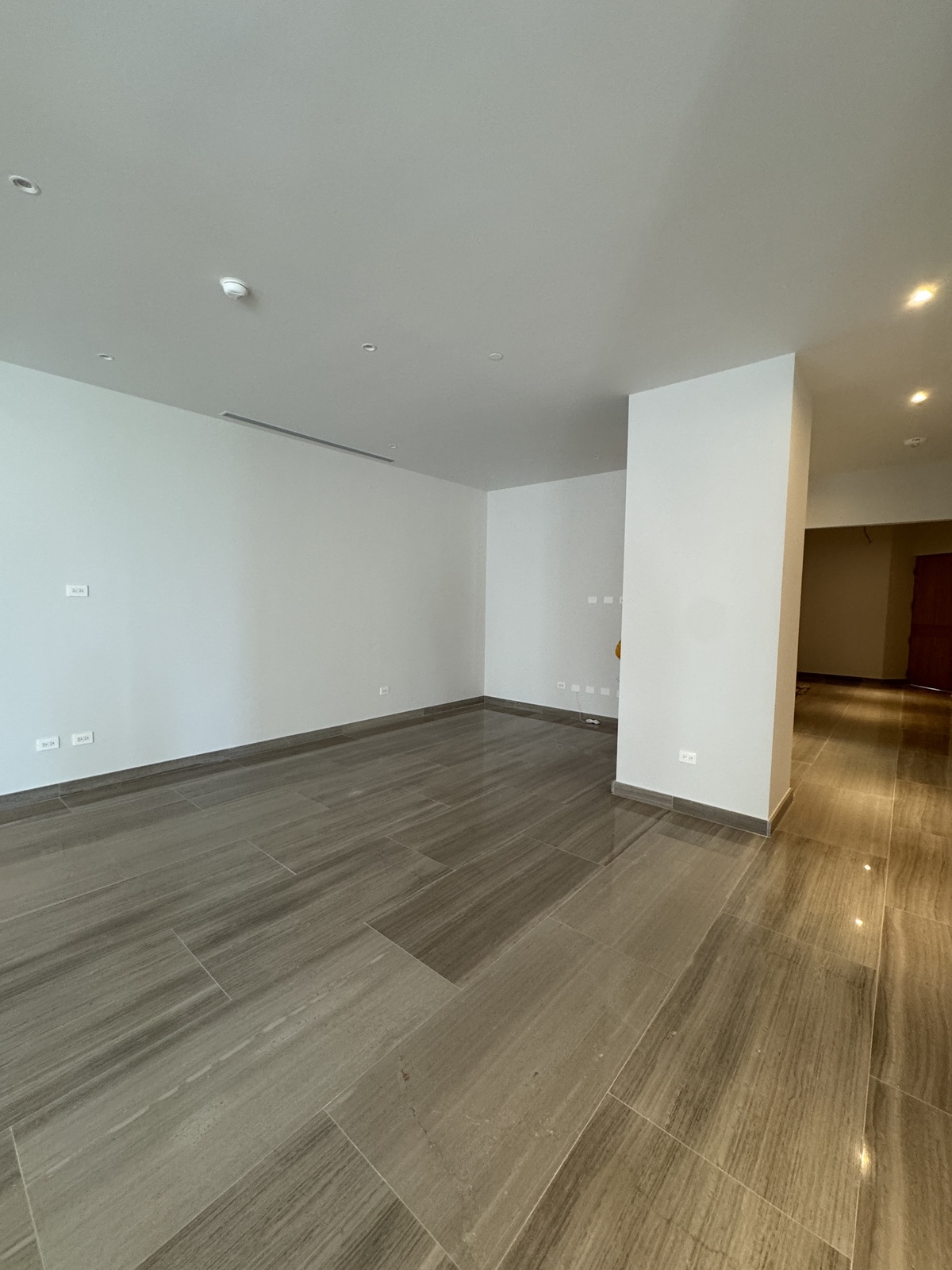 3 de 11: Area social aledaña a sala y comedor