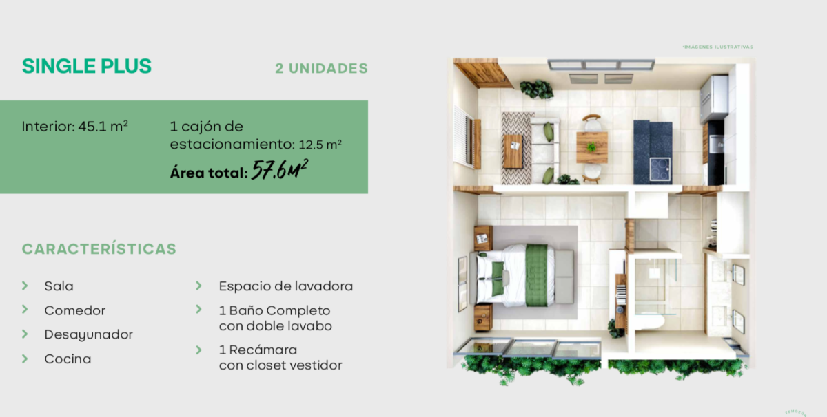 10 de 31