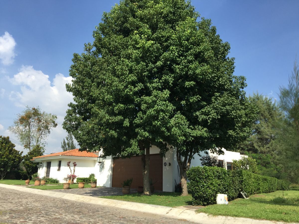 27 de 34