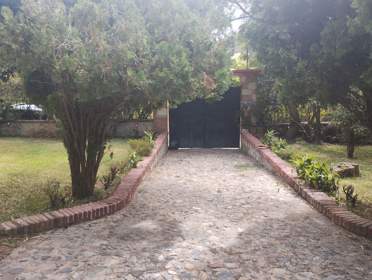 6 de 20