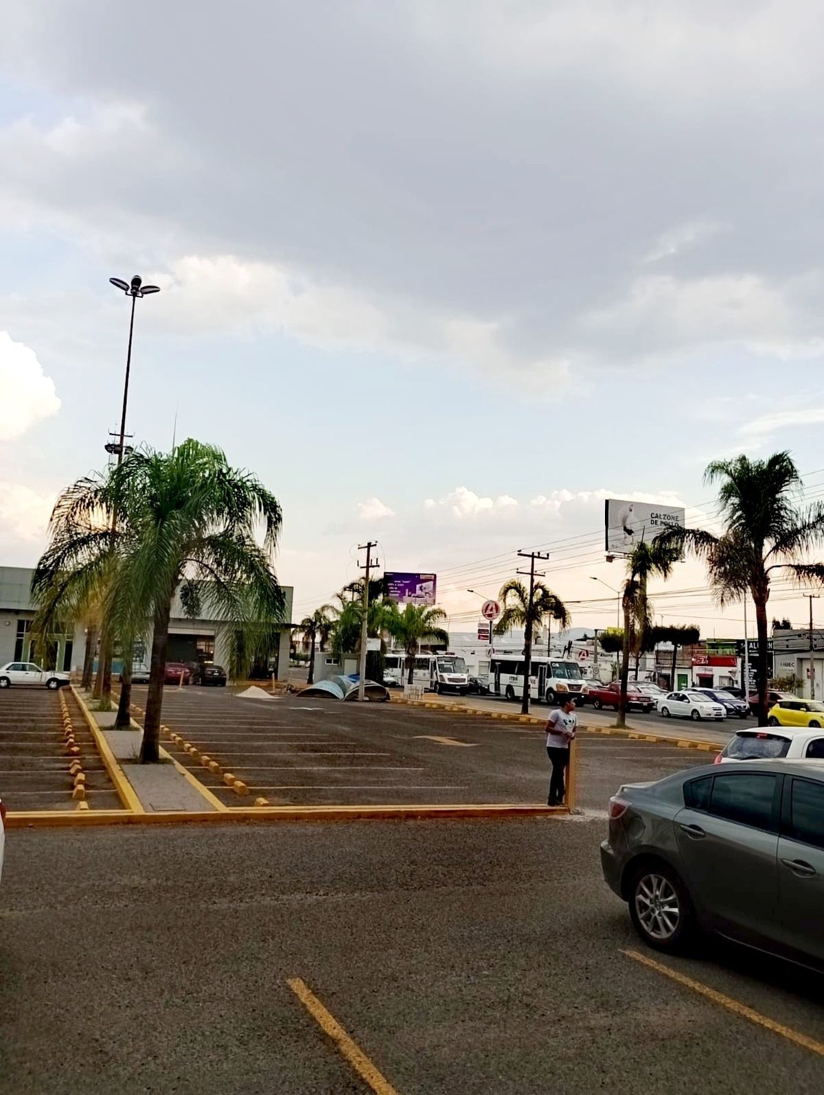 3 de 13